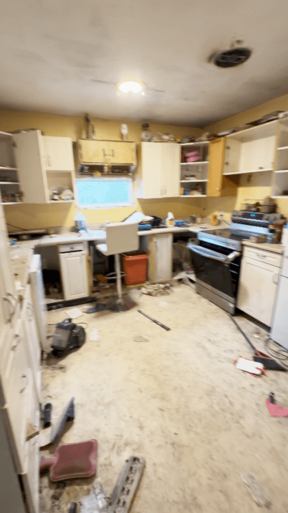Full House Renovation — photo 1