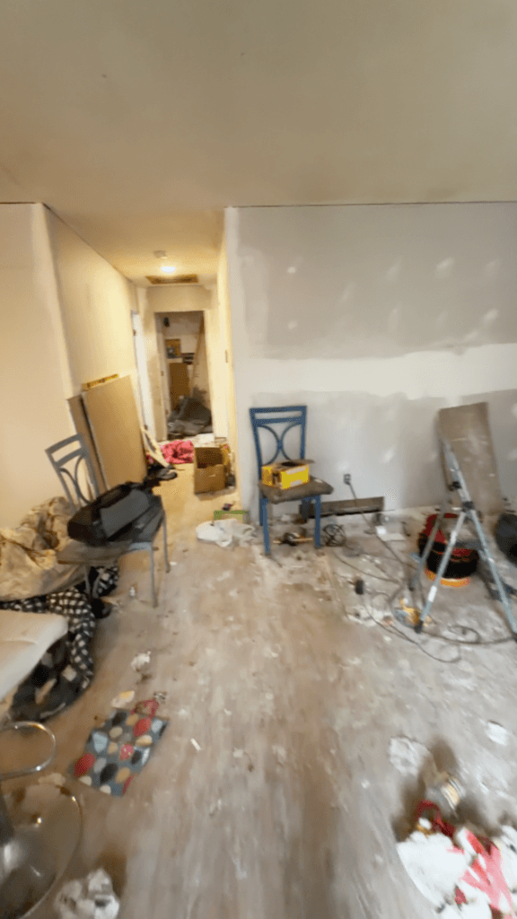 Full House Renovation — photo 2
