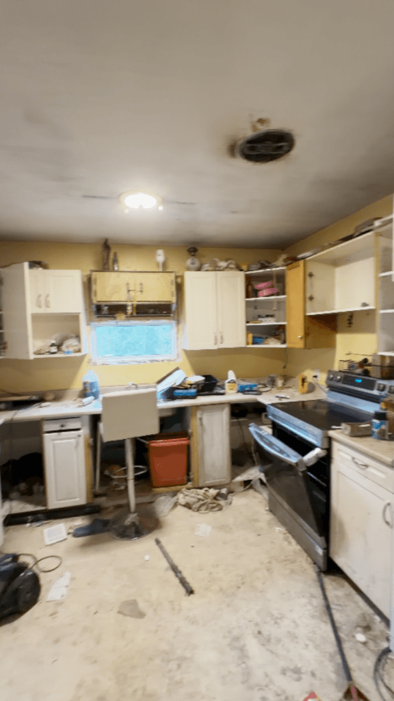 Full House Renovation — photo 3