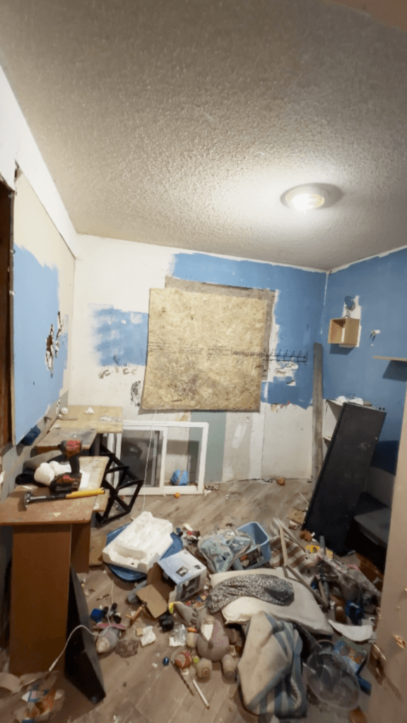Full House Renovation — photo 4