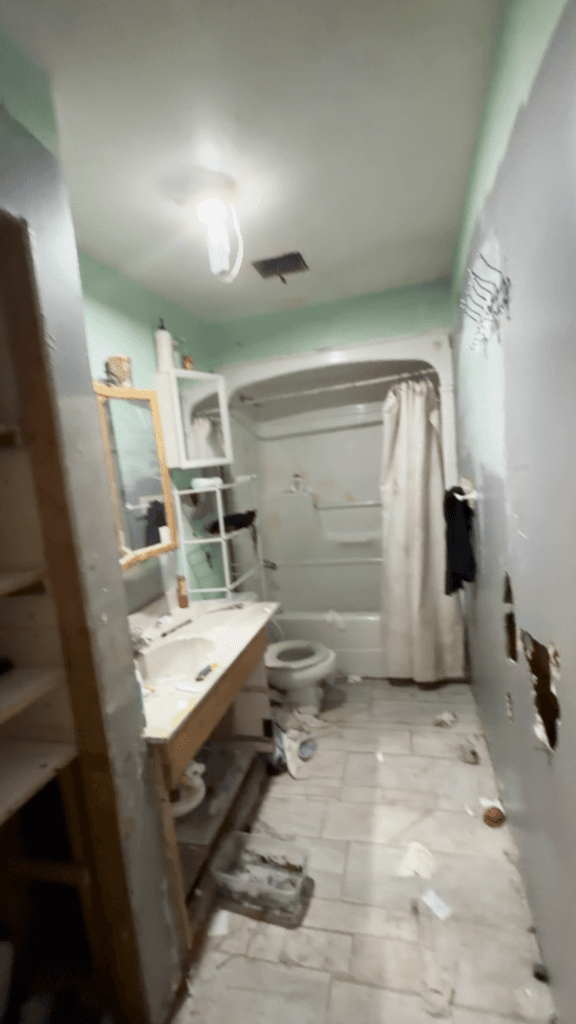 Full House Renovation — photo 5