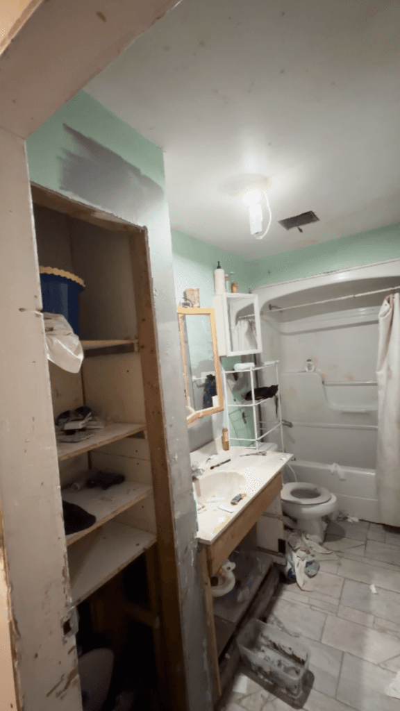 Full House Renovation — photo 6