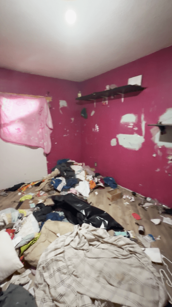 Full House Renovation — photo 7